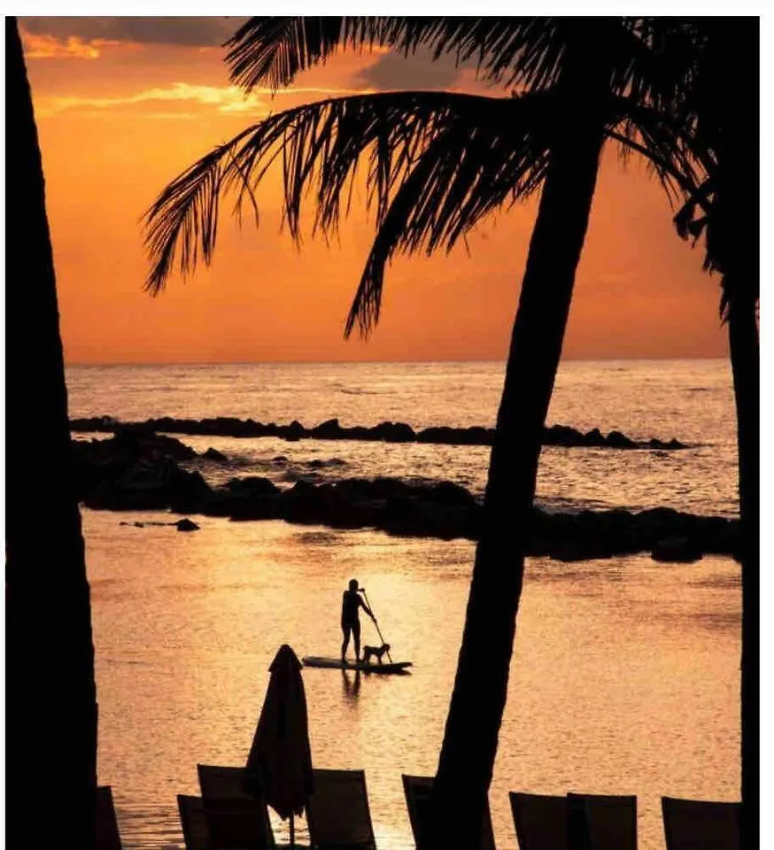 Holiday home Ritz Carlton-Dorado Beach 3Br 3Ba Luxury Villa